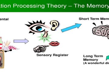 Lecture 1: Information, data and computer